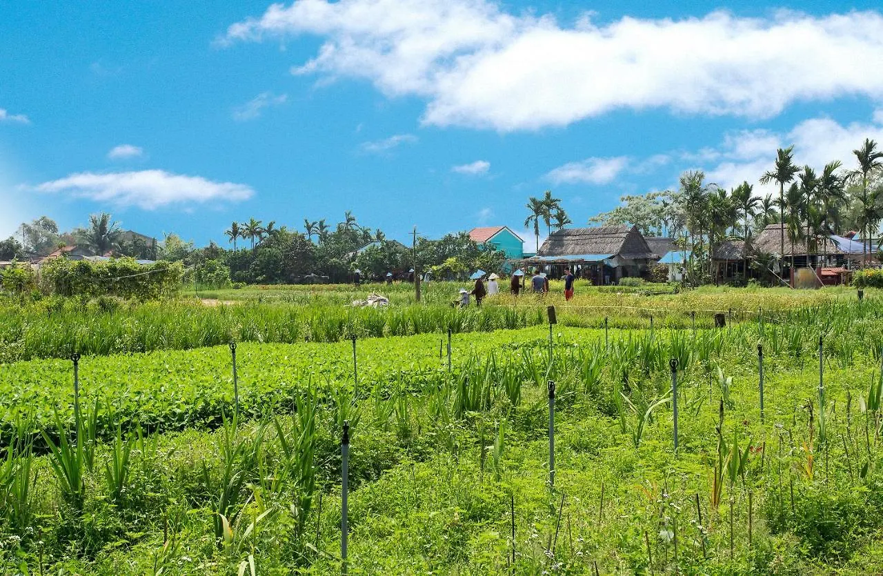 Cilantro Villa Hội An Vietnám